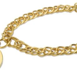 4B/G-G Charm Bracelet