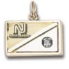 80A-T80 Pendant/Charm -Visol Products shop 80A T80
